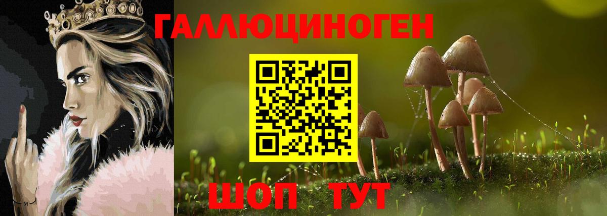 Псилоцибиновые грибы Cubensis Ярцево